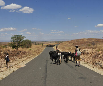 Madagascar Touring