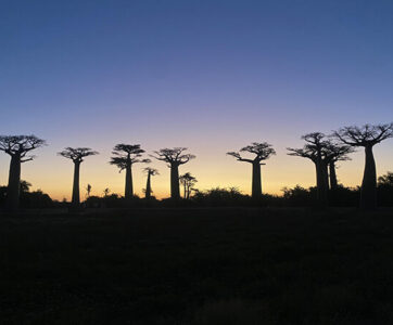 Madagascar Touring